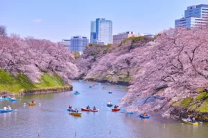 The 8 Best Places to Take Pictures in Tokyo.