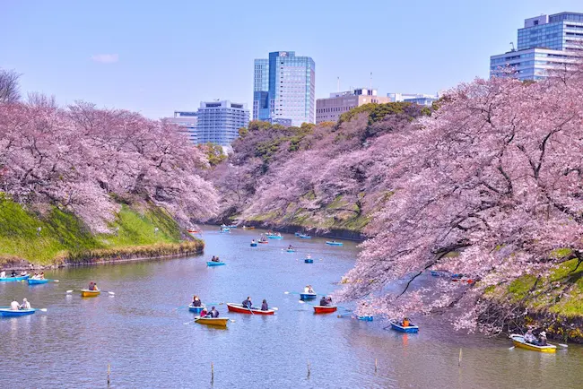 The 8 Best Places to Take Pictures in Tokyo