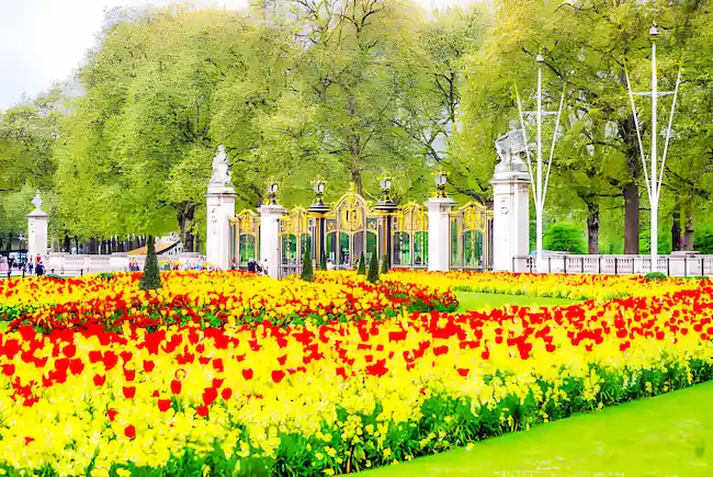 Chelsea Flower Show 2024: A Blossoming Spectacle